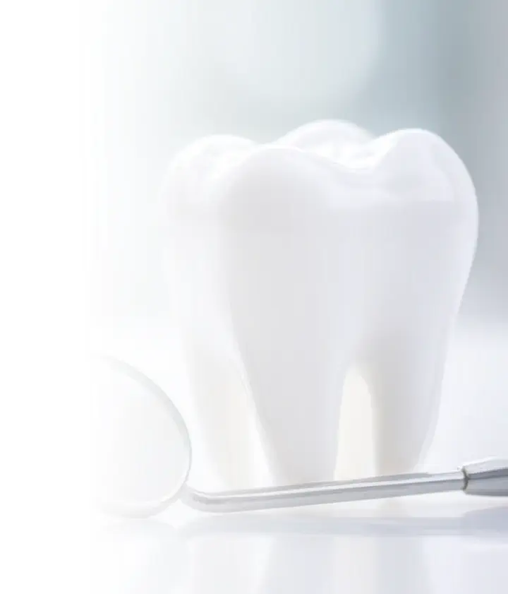 Clínica Dental | Dentista | Ortodoncia | Implantología | Odontopediatría | Estética Dental